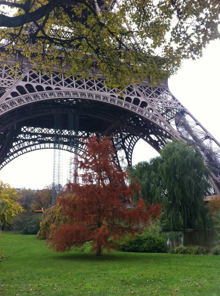 Autumn eiffel tower